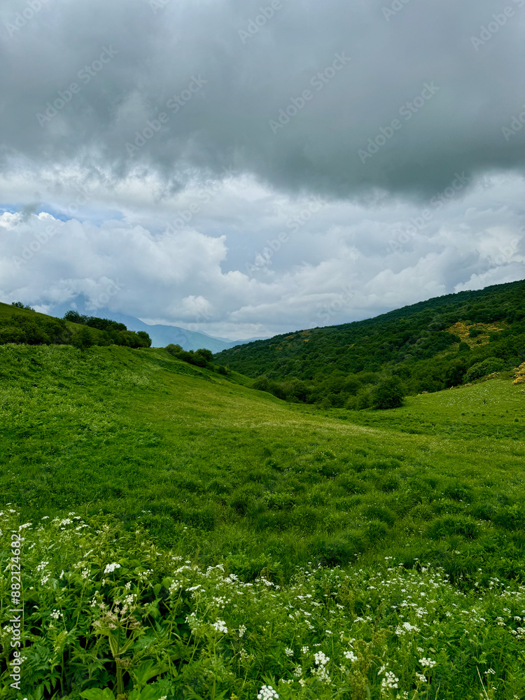 Obraz premium View of the green lush grassy hills of the Caucasus mountains near Vladikavkaz, Russia