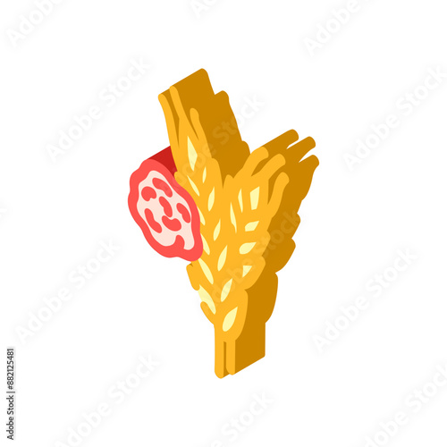 wheat allergen free product food isometric icon vector. wheat allergen free product food sign. isolated symbol illustration