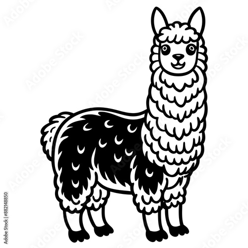 illustration of an alpaca