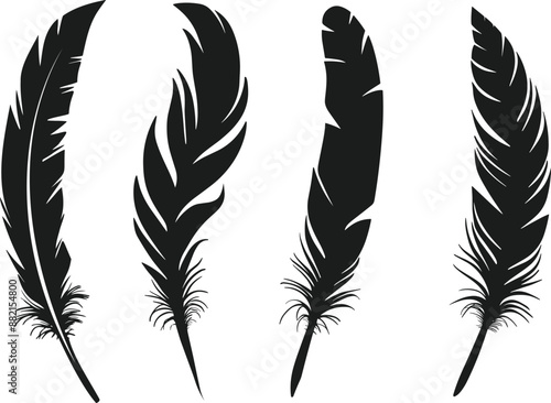 Set of feather vector illustration.