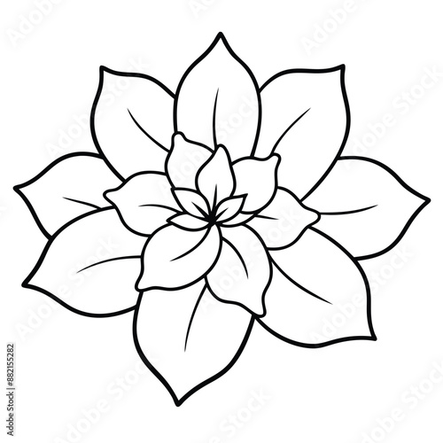 Flower silhouette with white background