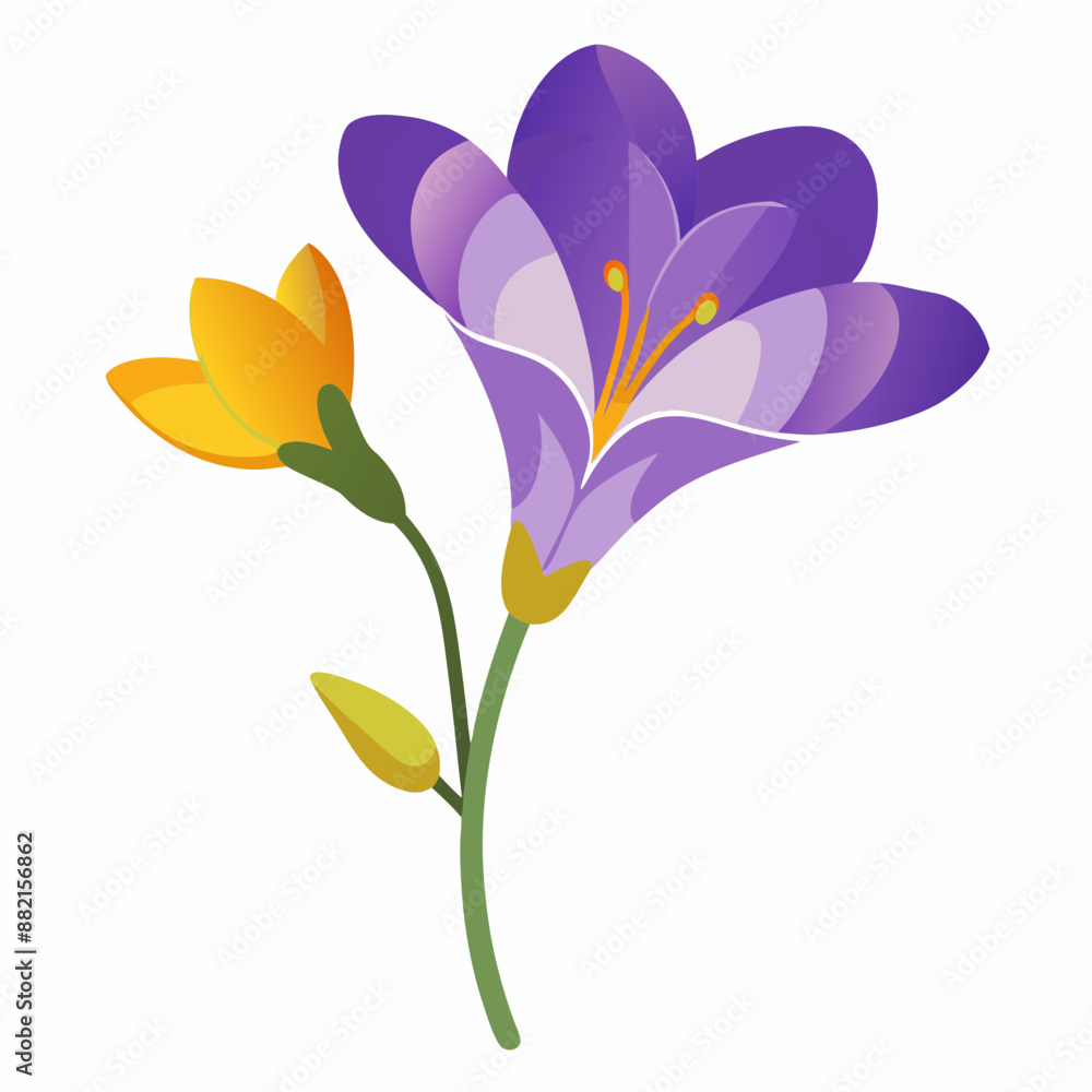 A branch of a freesia flower vector illustration
A branch of a freesia flower vector illustration