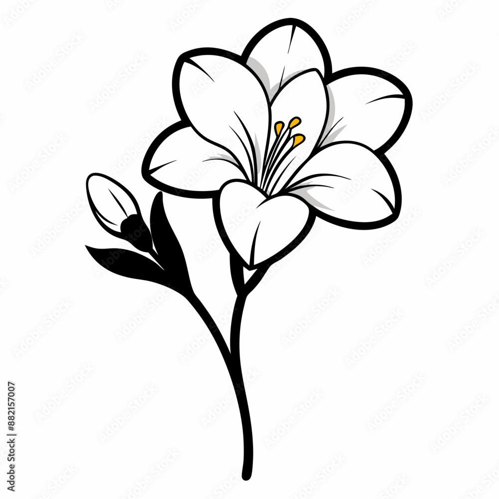 A branch of a freesia flower vector illustration
A branch of a freesia flower vector illustration