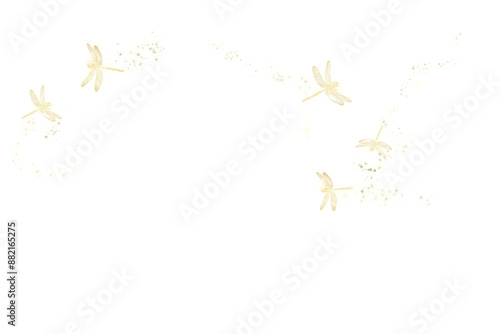 Dragonfly png, flying dragonfly isolated on white transparent background.png