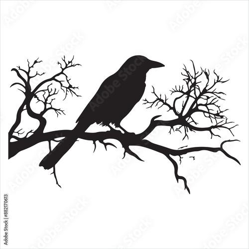 Ominous raven sitting on a bare tree branch silhouette white background
