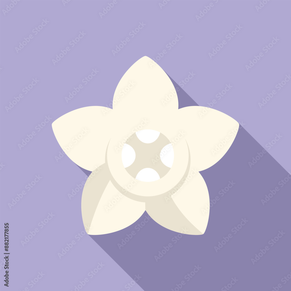 White frangipani flower is casting a long shadow on a purple background White frangipani flower is casting a long shadow on a purple background