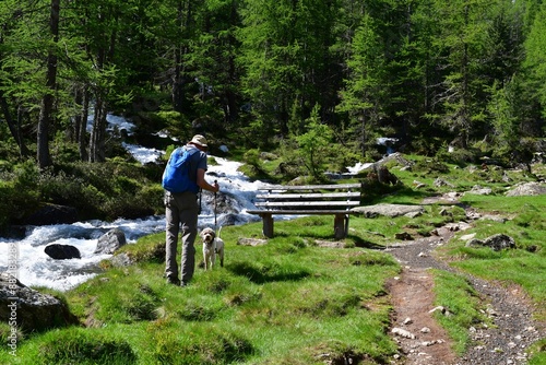 Mann und sein Lagotto Romagnolo Hund wandern im Ultental in Südtirol  photo