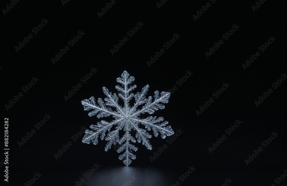 snowflake crystal In front of black background snowflake crystal In front of black background