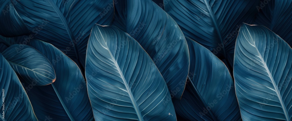 Blue leaf texture background, evoking a sense of calm and serenity Blue leaf texture background, evoking a sense of calm and serenity
