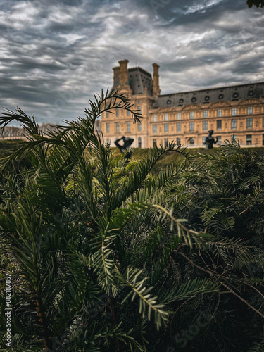 Regal Respite: Verdant Views of a Historic Palace Garden - Tuileries Garden Paris