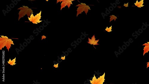 animated maple leaves falling with different leaves, autumn concept. animation video on alpha channel (transparent) background.