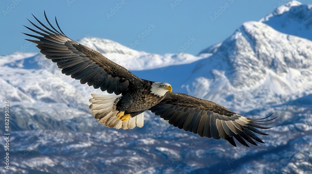 Fototapeta premium bald eagle flying in front of a mountain range