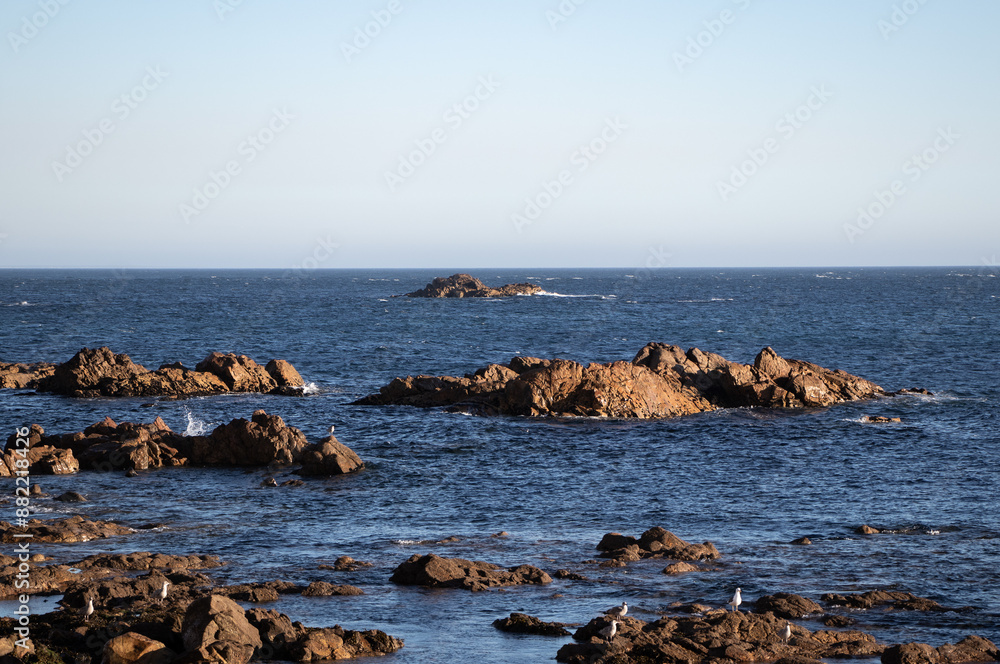 an ocean view with rocks and seagulls an ocean view with rocks and seagulls
