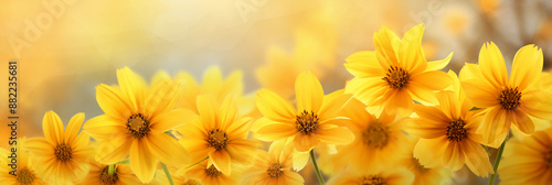 Yellow flowers