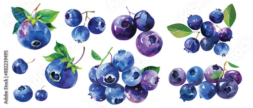Set collection of ripe blueberries fruit hand drawn watercolor design resources elements