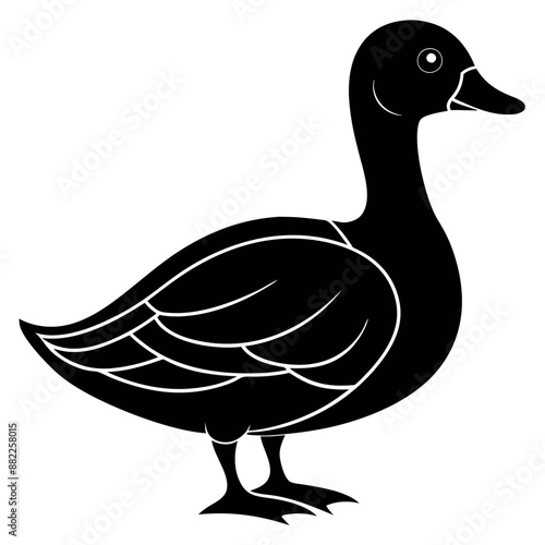  Beautiful duck silhouette vector illustration. 