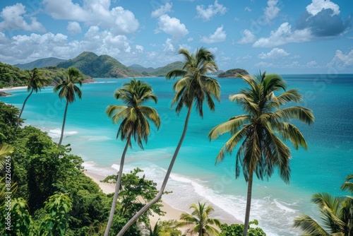 Tropical Paradise: Palm Trees on a Pristine Beach