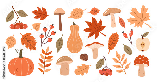 Autumn botanical set of plants. Vector illustration of autumn