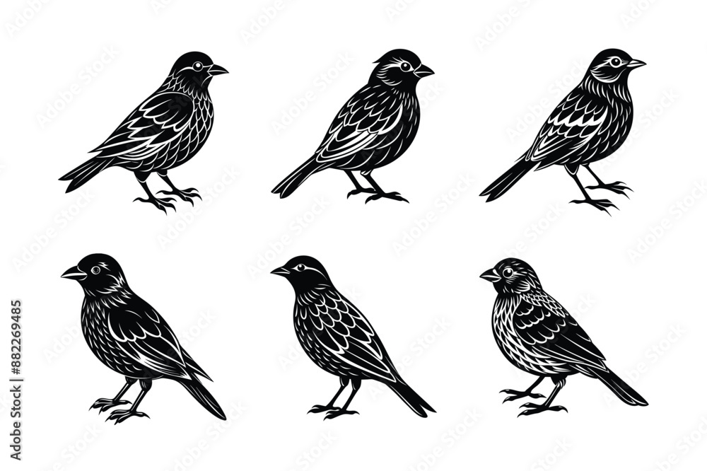 set of bird Black Silhouette Bundle - Stunning Vector Illustrations for Wild or domestic animals Nature Lovers, isolated on white set of bird Black Silhouette Bundle - Stunning Vector Illustrations for Wild or domestic animals Nature Lovers, isolated on white