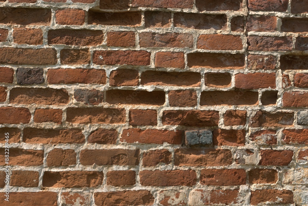 Fototapeta premium brick wall with one custom brick
