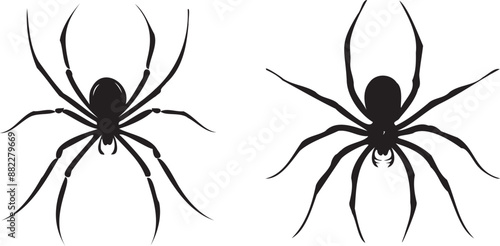 set of black spider silhouette