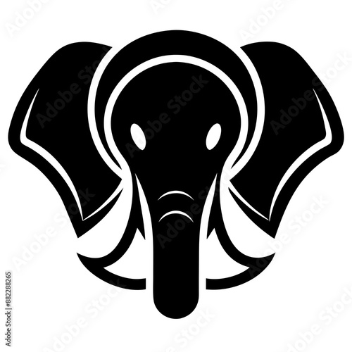 elephant isolated on white background photo