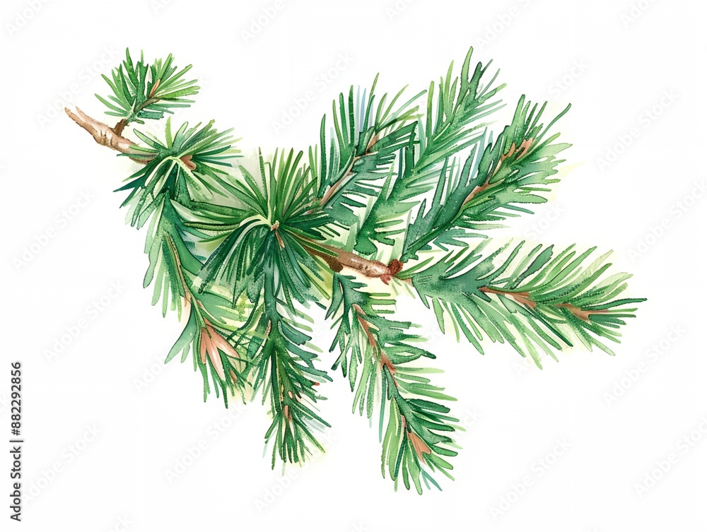 Naklejka premium Watercolor painting of fir tree branch with green needles. The painting has a serene and calming mood, with the blue and green colors blending together to create a peaceful atmosphere