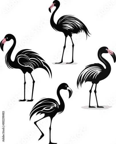 Hand drawn flamingo silhouette vector illustrations collecttion. photo