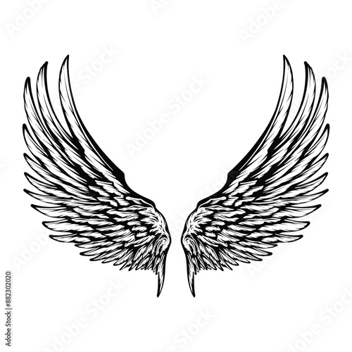 tattoo design wing black and white, Pair of spread out eagle bird or angel wings illustration