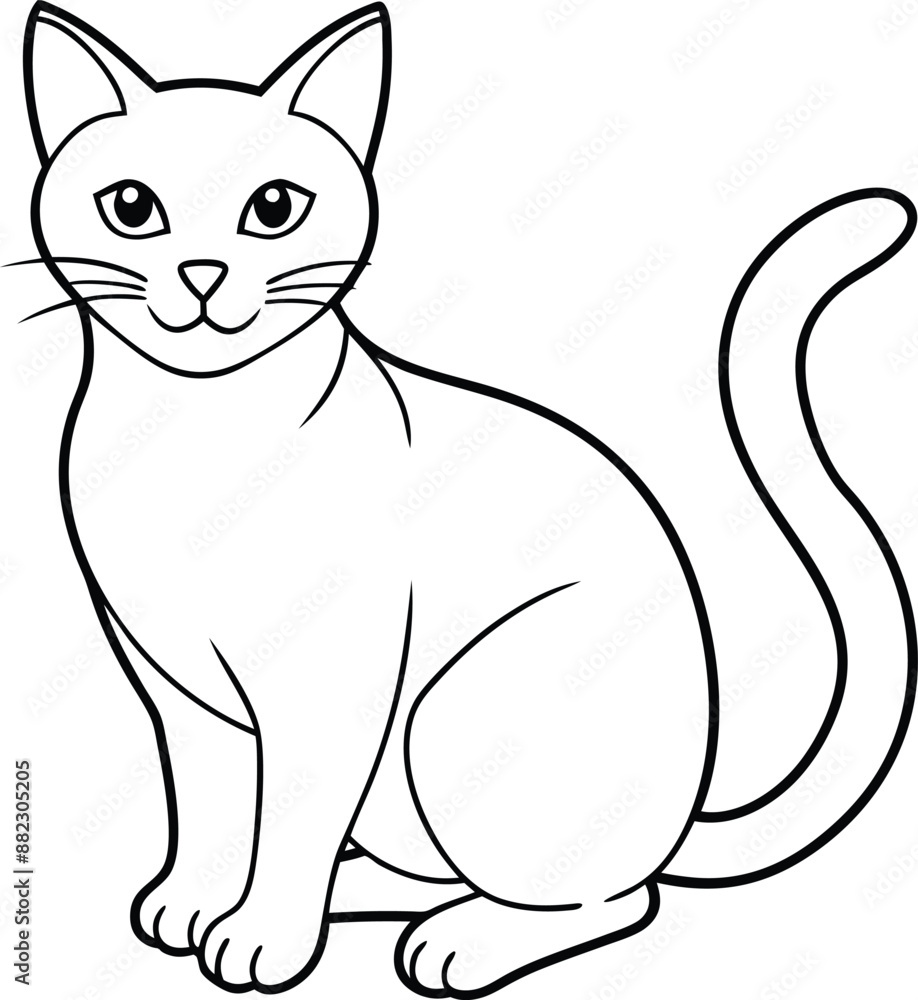 Cat vector illustration Cat vector illustration