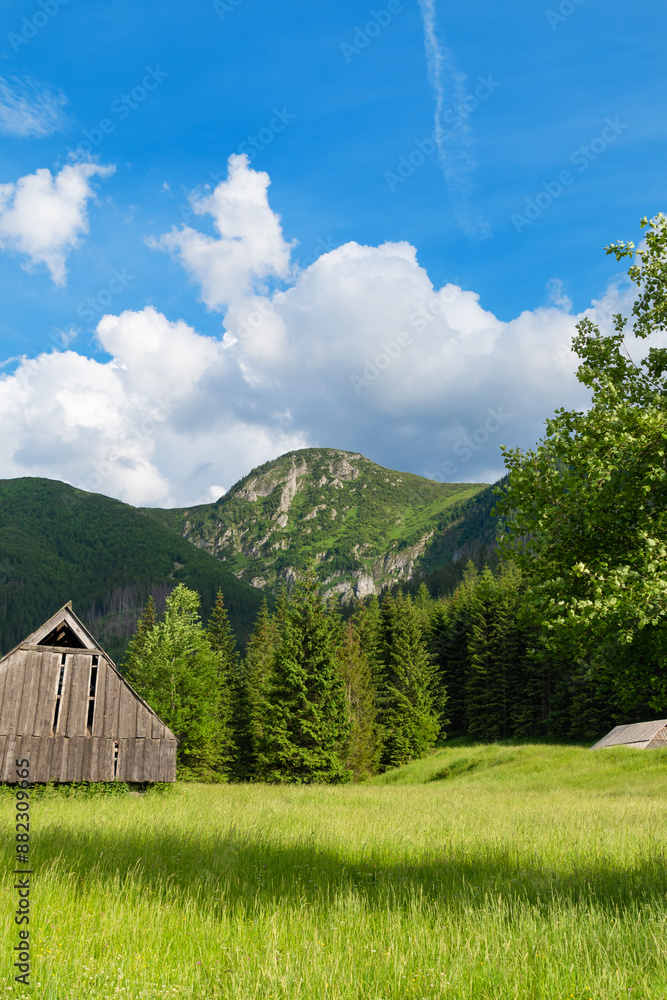 Obraz premium Mountain glade Jaworzynka in the Tatras, Poland. Beautiful summer landscape in the mountains