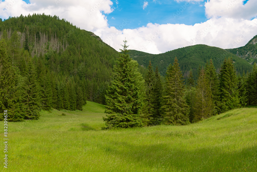 Mountain glade Jaworzynka in the Tatras, Poland. Beautiful summer landscape in the mountains Mountain glade Jaworzynka in the Tatras, Poland. Beautiful summer landscape in the mountains
