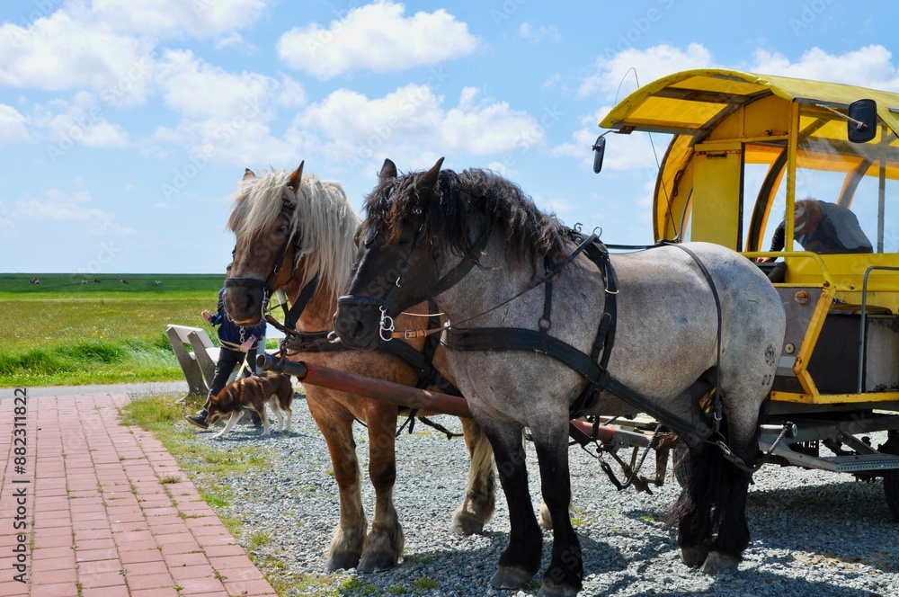Spaziergang auf der Insel Hallig Hooge in der Nordsee vom Lorenzwarft zum Backenswarf über das Seglerhaus und dem Kirchwarft Spaziergang auf der Insel Hallig Hooge in der Nordsee vom Lorenzwarft zum Backenswarf über das Seglerhaus und dem Kirchwarft