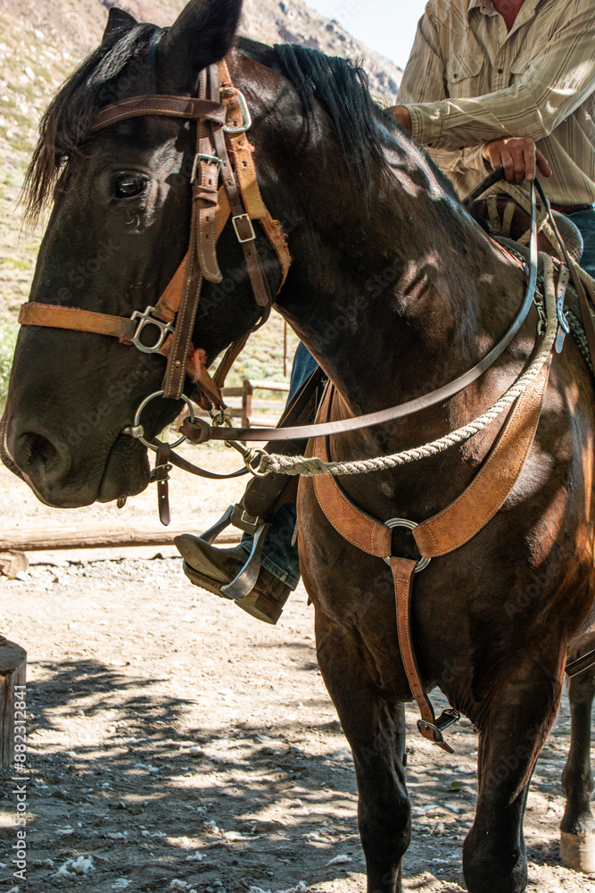 A cowboy riding a horse with a western saddle. A cowboy riding a horse with a western saddle.