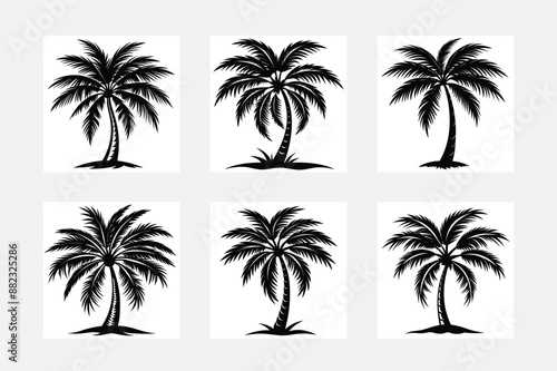 Vector logo and print design templates, summer palms, tropical hand drawn illustrations, tropical surfing concept, vacation and travel, palm trees or coconut trees set 