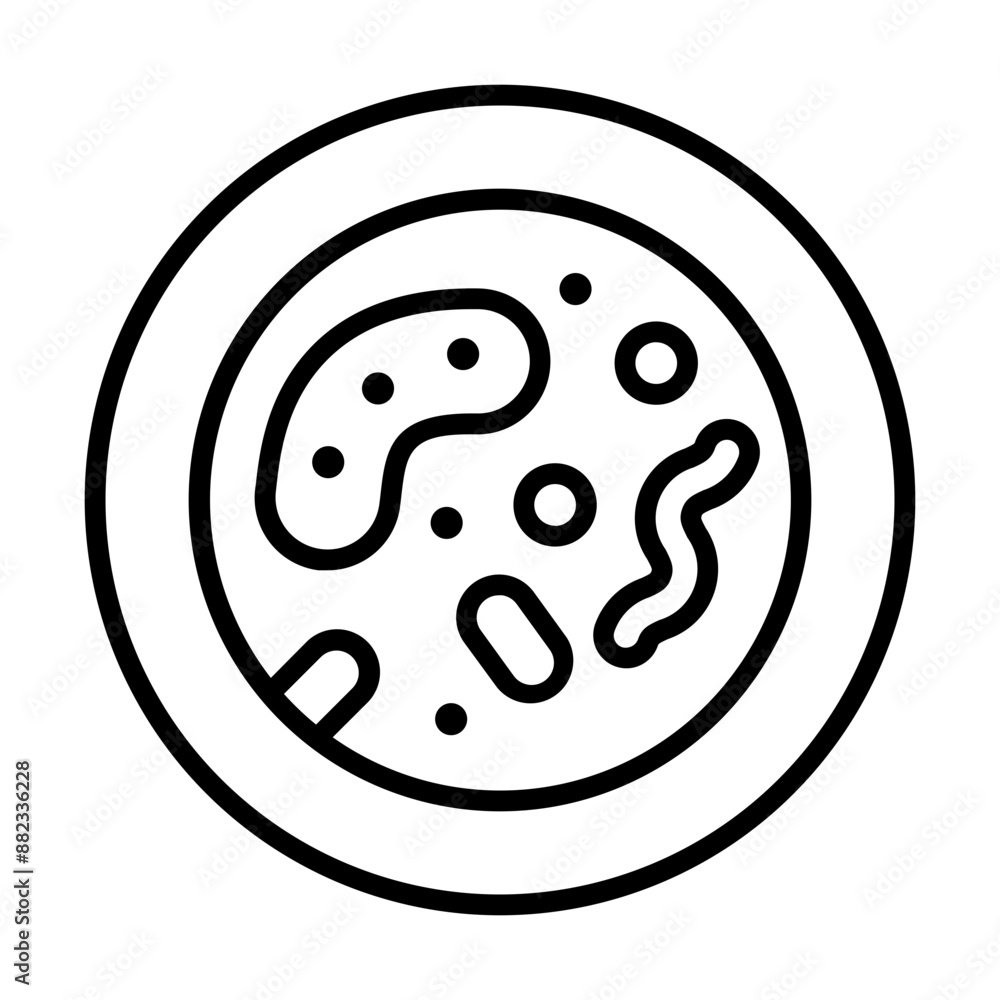 bacteria bacteria