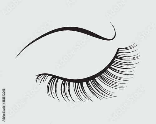 Eyelashes set on white background, girl, salon, vector illustration, mascara, illustration, beauty, eyelash, lash, vector, false, eye