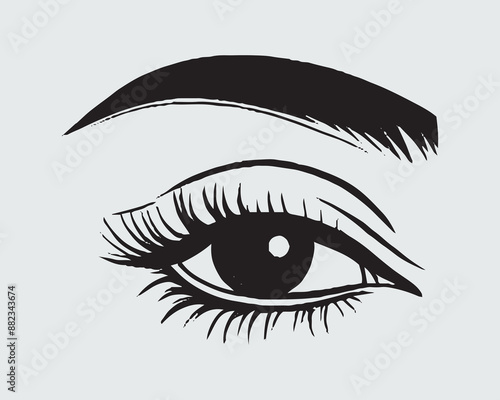 Eyelashes set on white background, girl, salon, vector illustration, mascara, illustration, beauty, eyelash, lash, vector, false, eye