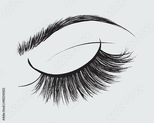 Eyelashes set on white background, girl, salon, vector illustration, mascara, illustration, beauty, eyelash, lash, vector, false, eye