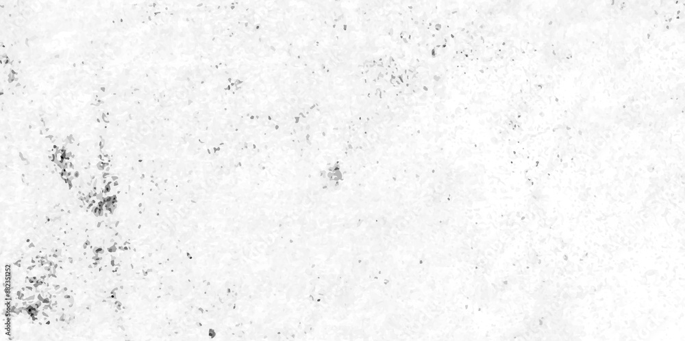 Abstract white and black texture of a grunge concrete wall with cracks and scratches background. Abstract white and black texture of a grunge concrete wall with cracks and scratches background.