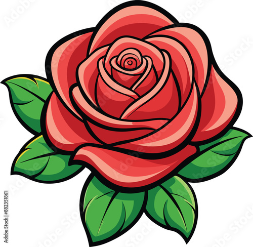 Rose Vector illustration