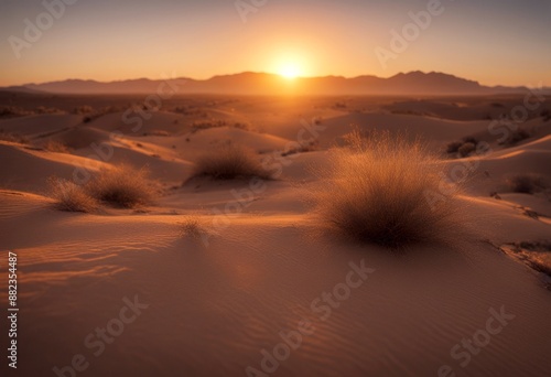 desert sunrise sahara surise africa dune sunset barkhan barren egypt photo