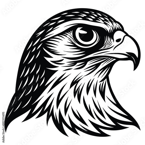 coloring book  minimalistic hawk head vector art illustration