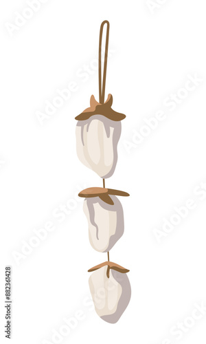 Hoshigaki or dried hanging, georgian dish, flat vector illustration isolated on white background