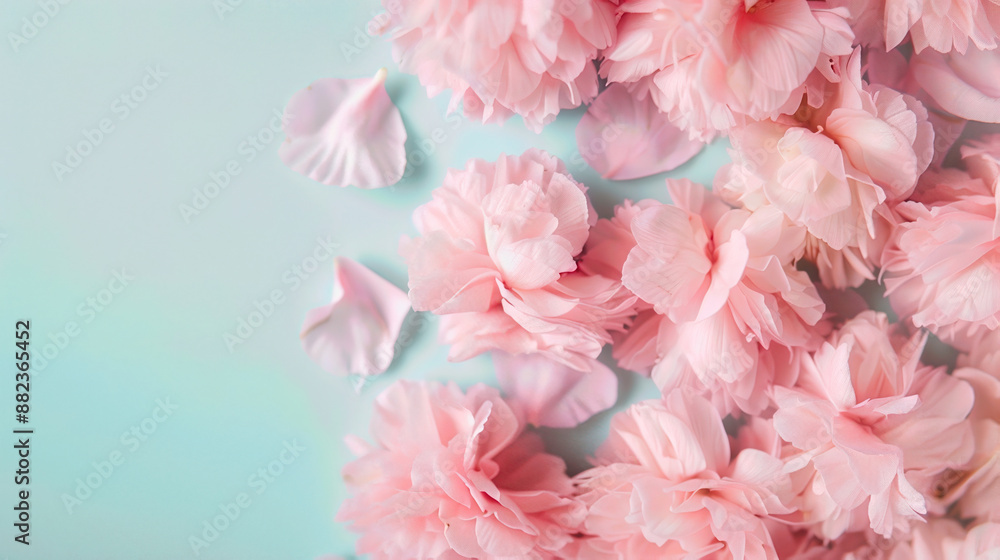 Beautiful pastel pink blossoms and petals arranged on a light turquoise background, showcasing nature's delicate beauty. Beautiful pastel pink blossoms and petals arranged on a light turquoise background, showcasing nature's delicate beauty.
