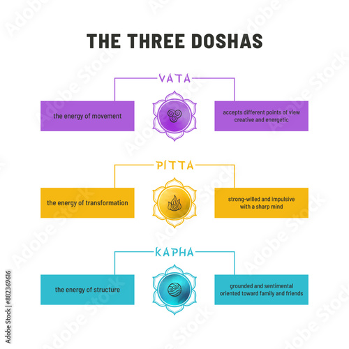 Vector infographic carefully detailing the three doshas in Ayurveda - Vata, Pitta, and Kapha. Each dosha is represented by a lotus symbol and describes its energy type and associated characteristics.