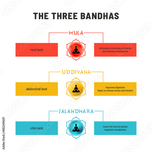 Infographic made in vector explaining 3 bandhas in yoga - Mula, Uddiyana, and Jalandhara. Set on plain backdrop, each bandha drawn as a lotus symbol and describes its physical location and benefits.