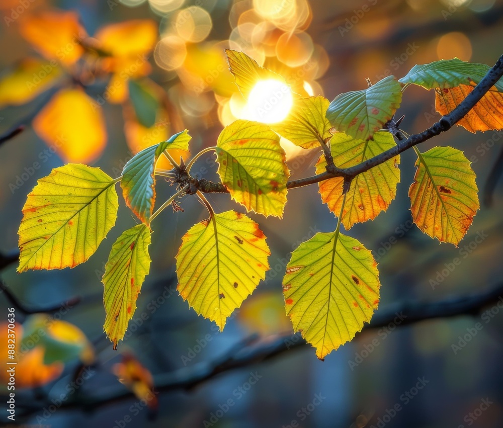 Close-up of autumn leaves with the sun shining through them. AI. Close-up of autumn leaves with the sun shining through them. AI.