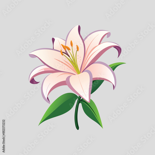 Color lily vector art illustrator 