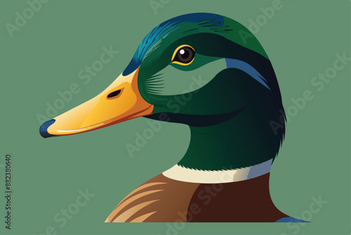 Cute duck vector clipart for printable digital graphics and designs.






